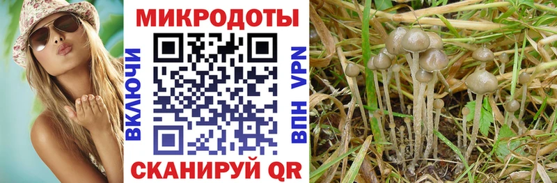 Галлюциногенные грибы MAGIC MUSHROOMS  Талдом 